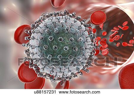 Clip Art - Hepatitis C virus, illustration. Fotosearch