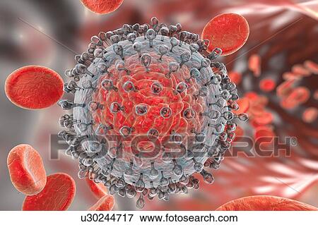 Hepatitis C virus, illustration View Large Illustration Stock Illustration - Hepatitis C virus, illustration. Fotosearch