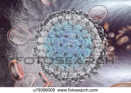 Hepatitis C virus, illustration View Large Illustration Stock Illustration - Hepatitis C virus, illustration. Fotosearch