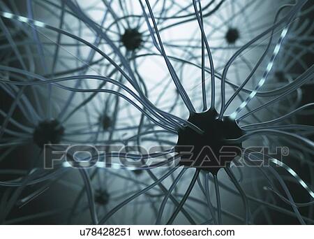 Human nerve cells, illustration View Large Illustration Clip Art - Human nerve cells, illustration. Fotosearch