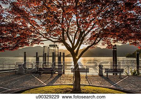 Stock Photo - Laveno, Lake Maggiore, Lombardy, Italy. Fotosearch