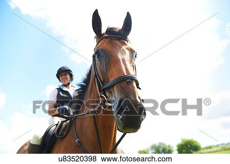 Low angle view of mature woman on horseback looking at camera View Large Photo Image Stock Photo - Low angle view of mature woman on horseback looking at camera. Fotosearch