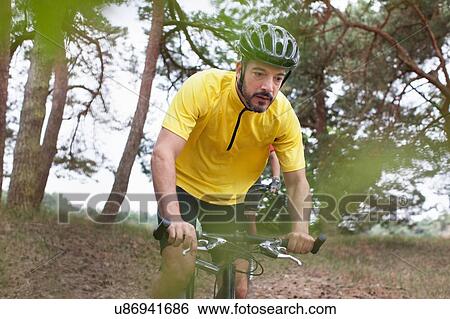 Male mountain biker in forest View Large Photo Image Stock Photograph - Male mountain biker in forest. Fotosearch