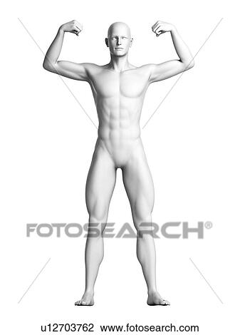 Man flexing his muscles, illustration View Large Illustration Drawing - Man flexing his muscles, illustration. Fotosearch