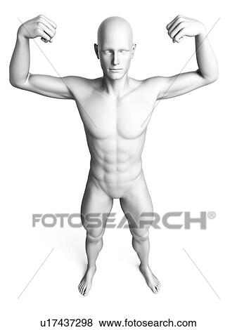 Stock Illustration - Man flexing his muscles, illustration. Fotosearch