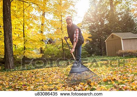 Stock Photography - Man raking in autumn leaves garden. Fotosearch