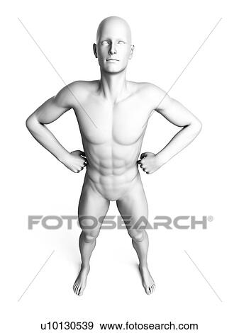 Stock Illustration - Man standing, hands on hips, illustration. Fotosearch