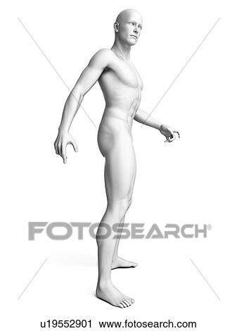 Man standing, illustration View Large Illustration Clip Art - Man standing, illustration. Fotosearch