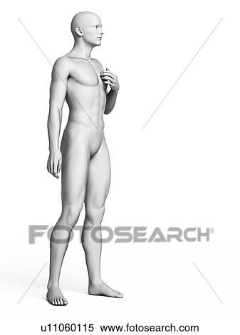 Stock Illustration - Man standing, illustration. Fotosearch