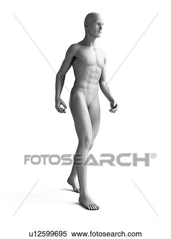 Stock Illustration - Man standing, illustration. Fotosearch
