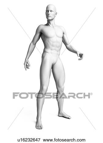 Man standing, illustration View Large Illustration Stock Illustration - Man standing, illustration. Fotosearch