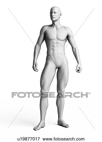 Stock Illustration - Man standing, illustration. Fotosearch