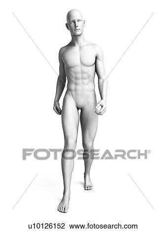 Man walking, illustration View Large Illustration Drawing - Man walking, illustration. Fotosearch