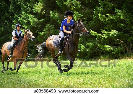 Stock Image - Mature woman and girl galloping on horse. Fotosearch