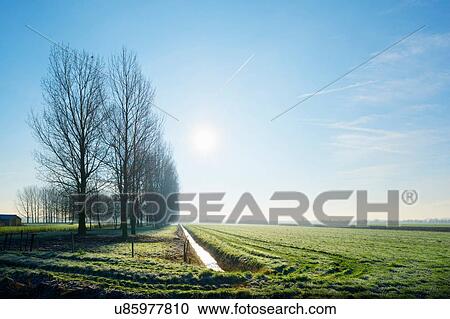 Meadows and ditch in backlight, Schalkwijk, Utrecht, The Netherlands View Large Photo Image Stock Image - Meadows and ditch in backlight, Schalkwijk, Utrecht, The Netherlands. Fotosearch