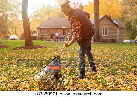 Stock Image - Mid adult man raking in autumn leaves garden. Fotosearch