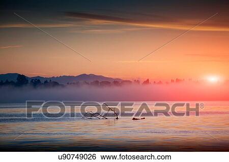 Stock Photograph - Mist on water at sunset, Lake Maggiore, Piedmont, Lombardy, Italy. Fotosearch