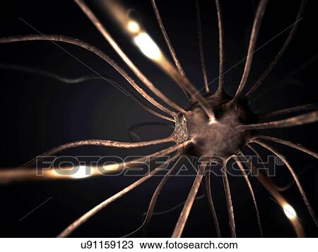 Stock Image - Nerve cell. Fotosearch