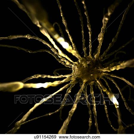 Stock Photo - Nerve cell. Fotosearch