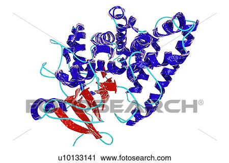 Clip Art - Nitrate reductase molecule, illustration. Fotosearch