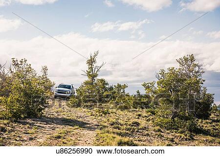 Off road vehicle driving over hill, Bridger, Montana, USA View Large Photo Image Stock Image - Off road vehicle driving over hill, Bridger, Montana, USA. Fotosearch