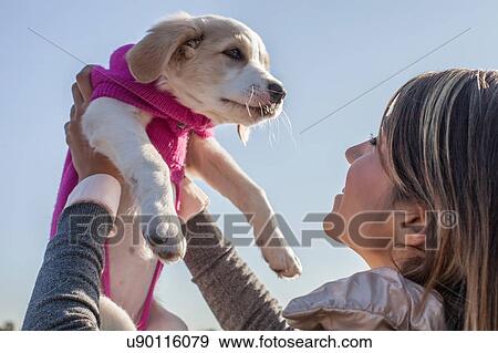 Stock Photo - Over the shoulder low angle view of young woman holding up puppy smiling. Fotosearch