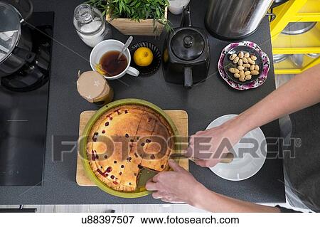 Stock Photo - Overhead view of female hand slicing baked cake at kitchen counter. Fotosearch
