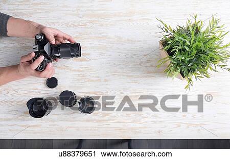 Stock Image - Overhead view of male photographer photographing plant on table. Fotosearch