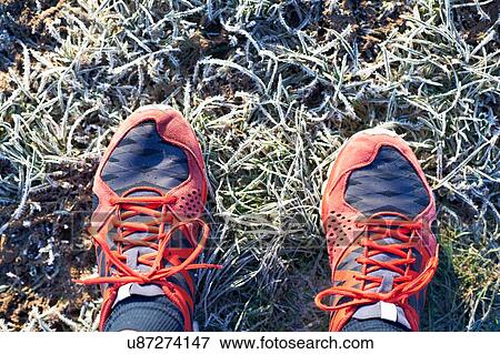 Stock Photo - Overhead view of runners feet wearing running shoes on frosty grass. Fotosearch