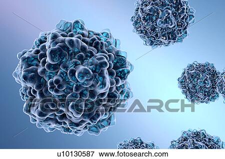 Stock Illustration - Parvovirus B19, illustration. Fotosearch