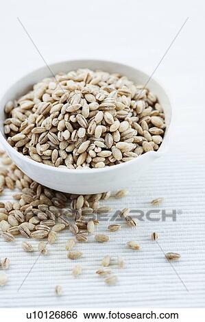Pearl barle View Large Photo Image Stock Photograph - Pearl barle. Fotosearch