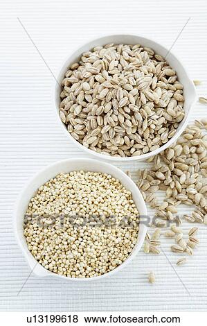 Pearl barley and Quinoa seeds View Large Photo Image Stock Photo - Pearl barley and Quinoa seeds. Fotosearch
