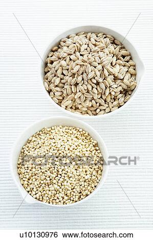 Stock Photograph - Pearl barley and Quinoa seeds. Fotosearch