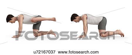 Person exercising, illustration View Large Illustration Stock Illustration - Person exercising, illustration. Fotosearch