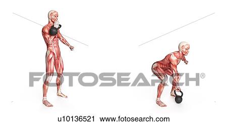 Person using kettlebell, illustration View Large Illustration Clip Art - Person using kettlebell, illustration. Fotosearch