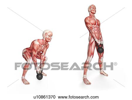 Person using kettlebell, illustration View Large Illustration Clipart - Person using kettlebell, illustration. Fotosearch