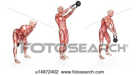 Drawing - Person using kettlebell, illustration. Fotosearch