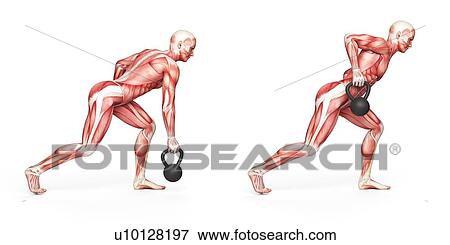 Person using kettlebell, illustration View Large Illustration Stock Illustration - Person using kettlebell, illustration. Fotosearch