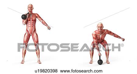 Person using kettlebell, illustration View Large Illustration Stock Illustration - Person using kettlebell, illustration. Fotosearch