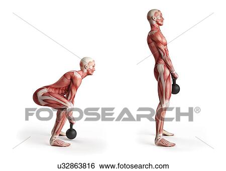 Stock Illustration - Person using kettlebell, illustration. Fotosearch