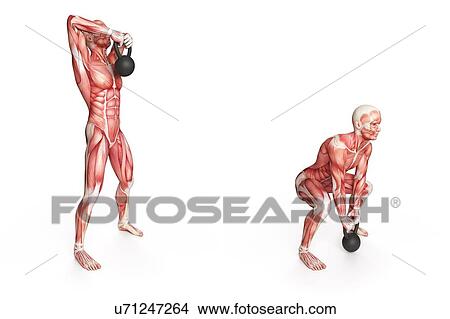 Person using kettlebell, illustration View Large Illustration Stock Illustration - Person using kettlebell, illustration. Fotosearch