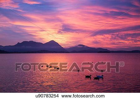Picture - Pink sky at sunset, Lake Maggiore, Piedmont, Lombardy, Italy. Fotosearch