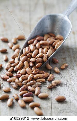 Stock Image - Pinto beans. Fotosearch