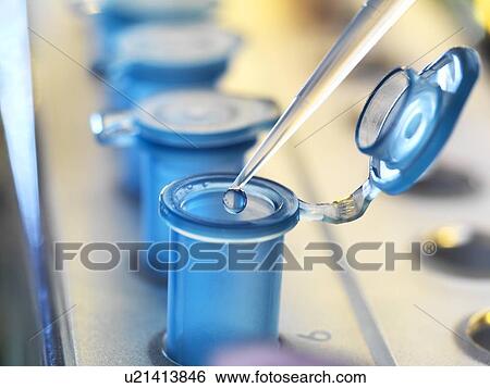 Pipetting samples View Large Photo Image Stock Photograph - Pipetting samples. Fotosearch