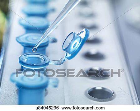 Stock Photograph - Pipetting samples. Fotosearch