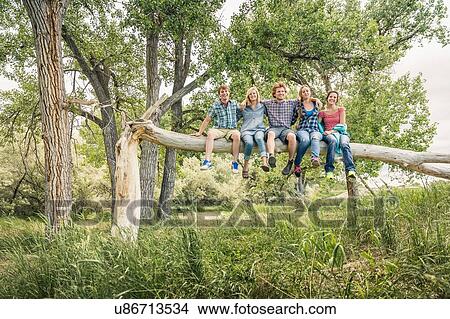 Picture - Portrait of teenage girl and young adult friends sitting on fallen tree. Fotosearch