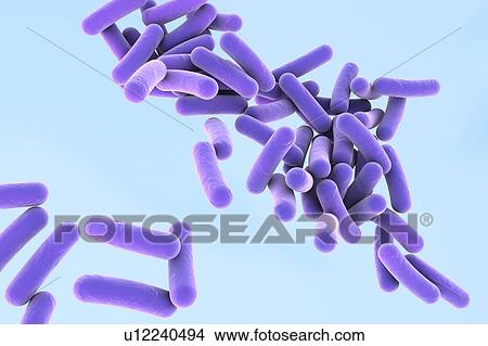 Stock Illustration - Pseudomonas bacteria, illustration. Fotosearch