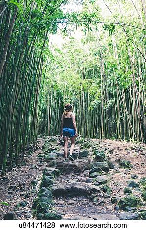 "Rear view of female tourist in bamboo grove, Haleakala, Hawaii, USA" View Large Photo Image Stock Photo - "Rear view of female tourist in bamboo grove, Haleakala, Hawaii, USA". Fotosearch