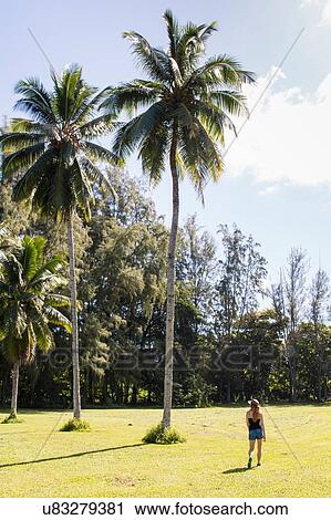Stock Image - "Rear view of female tourist strolling near palm trees, Hana, Hawaii, USA". Fotosearch