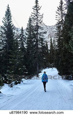 Stock Image - Rear view of young woman hiking along snowy rural road, Austria. Fotosearch